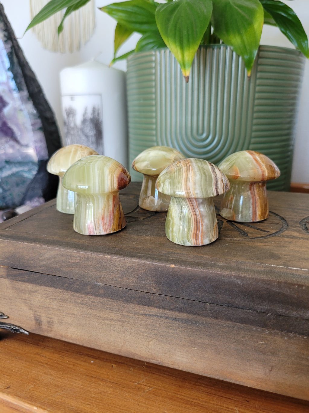 Green Onyx Mushrooms