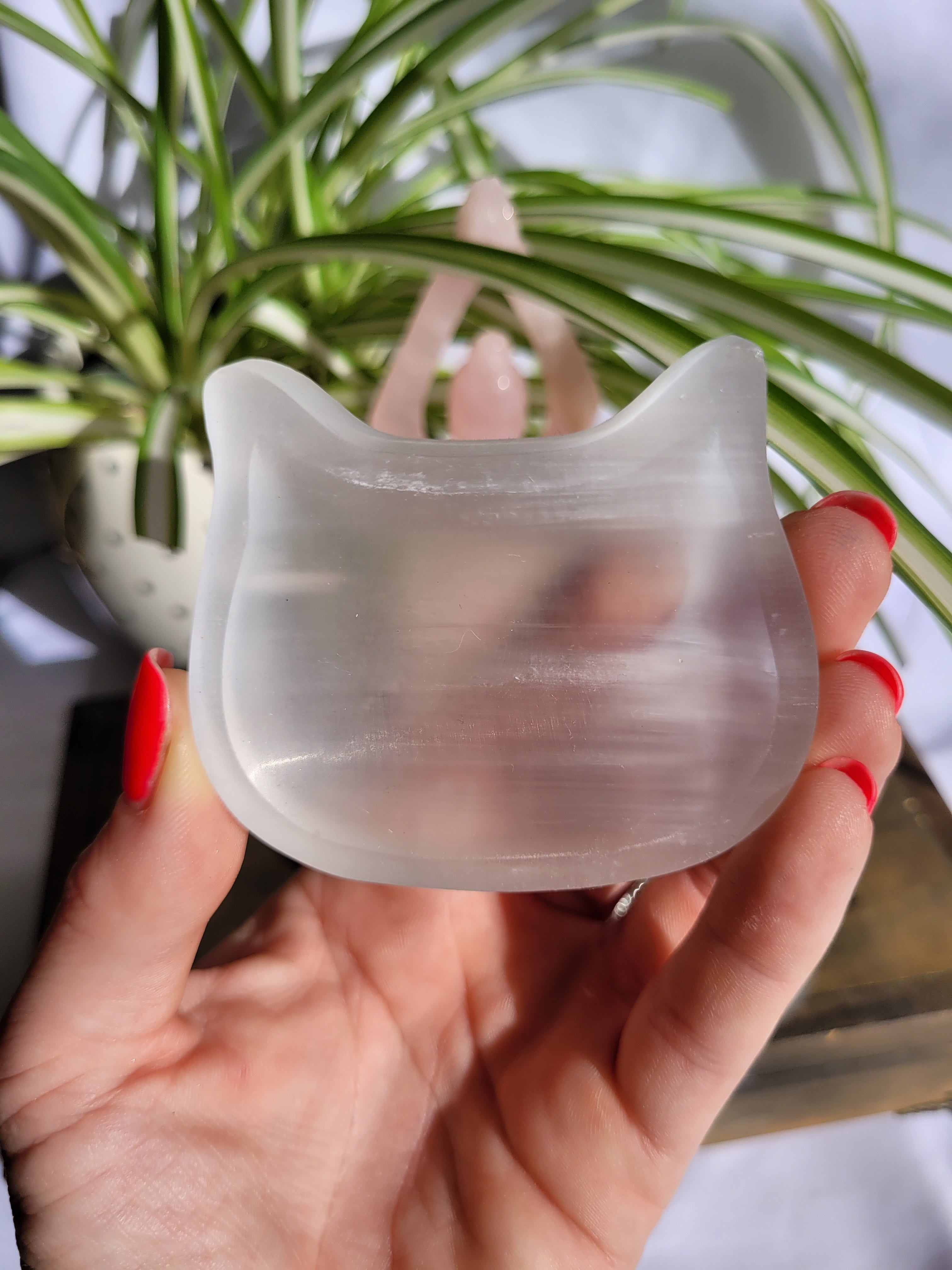 Satin Spar (Selenite) Kitty Dish