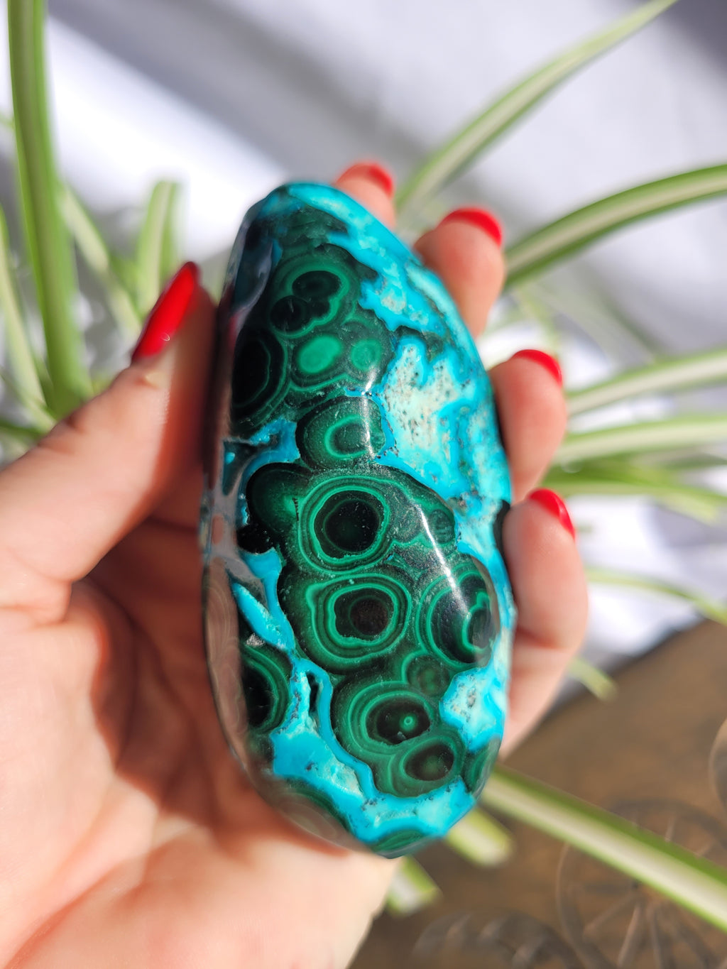 Chrysocolla/Malachite Large Freeform