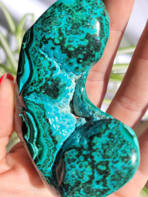 Chrysocolla/Malachite Large Freeform