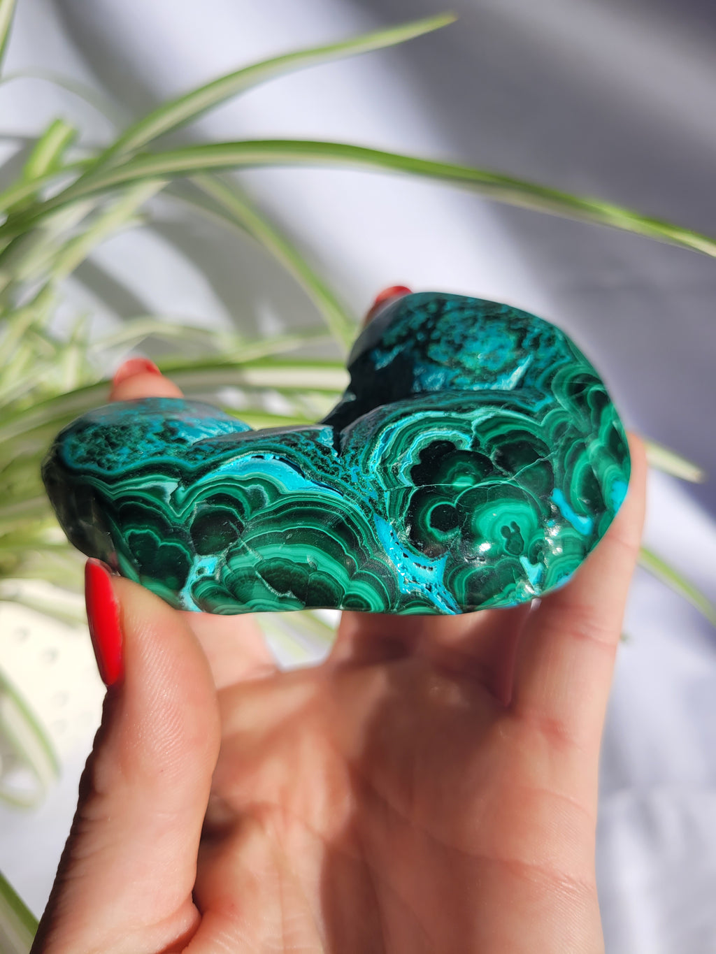 Chrysocolla/Malachite Large Freeform