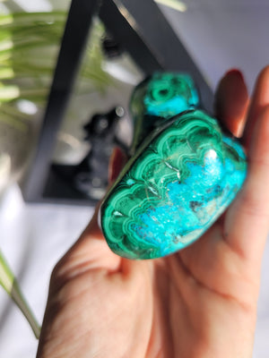 Chrysocolla/ Malachite Large Freeform