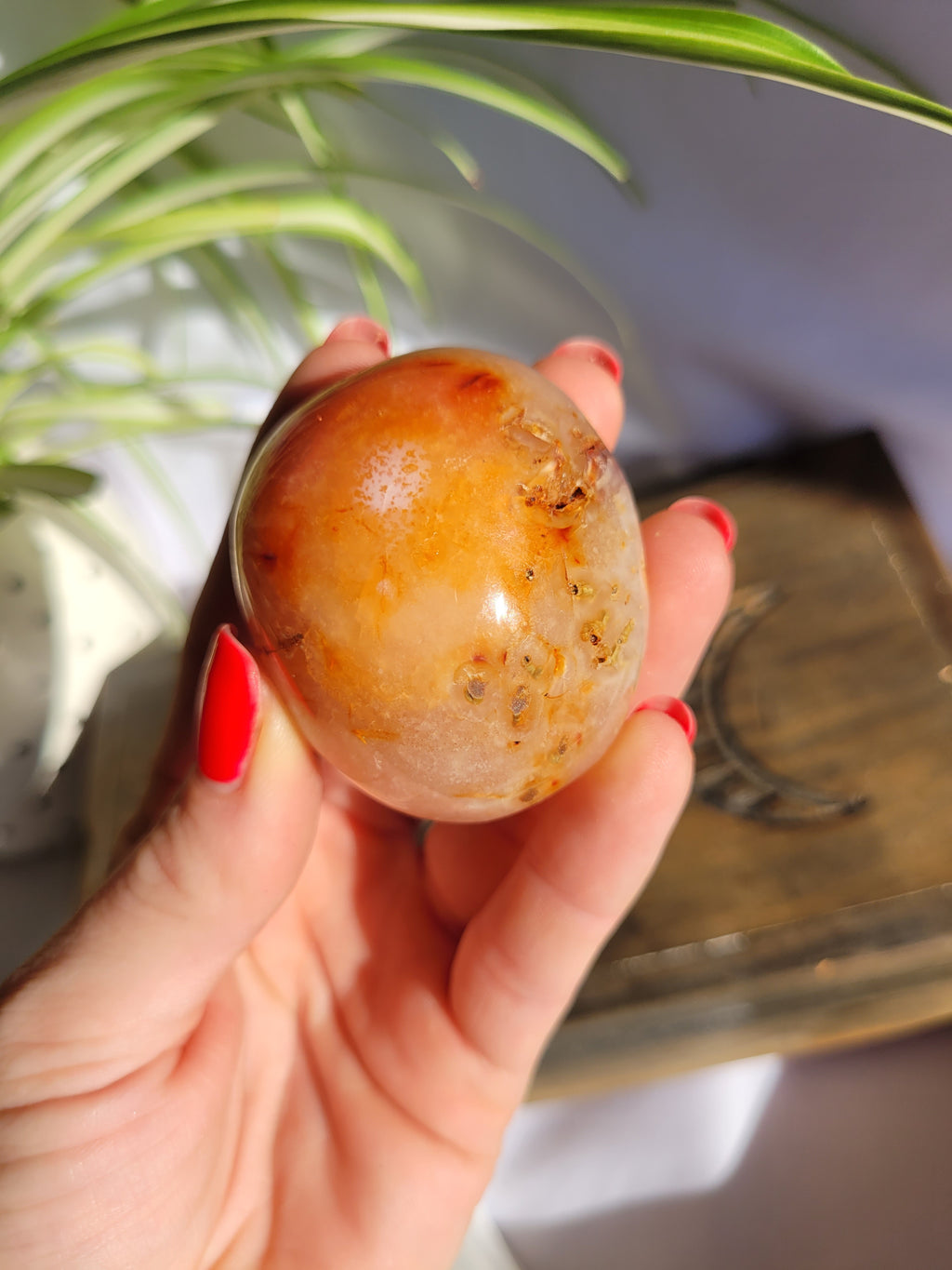 Carnelian Medium Palmstone