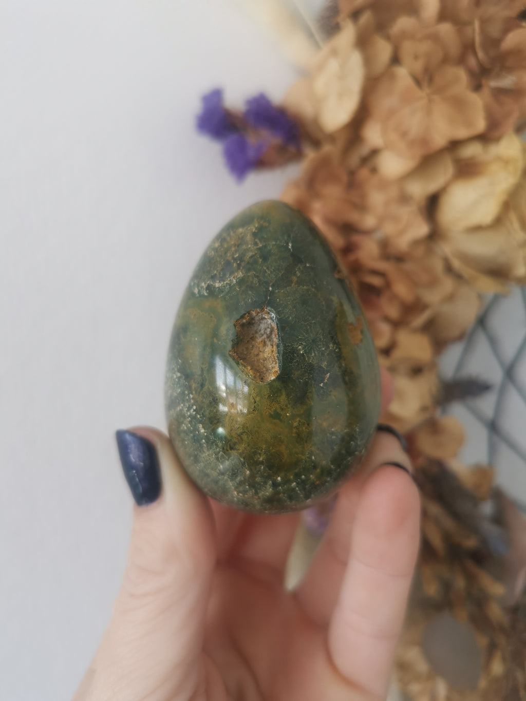 Ocean Jasper Egg